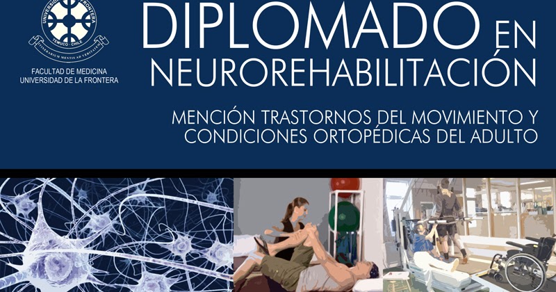 VIII Diplomado en Evaluación e Intervención Neurorehabilitación en el Adulto con Enfoque Multiprofesional, año 2019